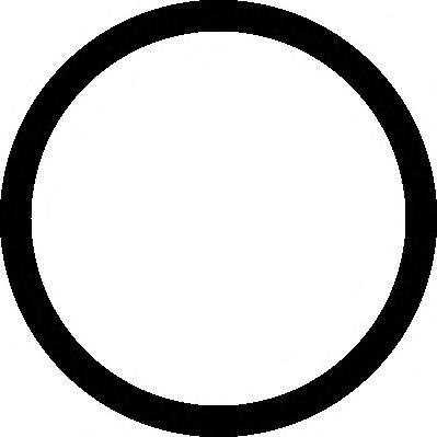 Прокладка коллектора FORD 2.0/2.4 впуск OE 575.500=01062900 (кольцо EGR)