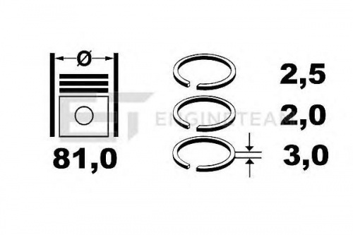 Кольца поршневые VW 2.5 KS STD (1цил/81/2.5x2.0x3.0)