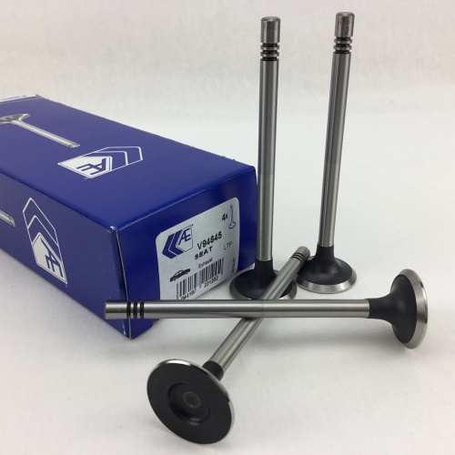 Клапан ГРМ VAG 2.0 TDi выпуск AE