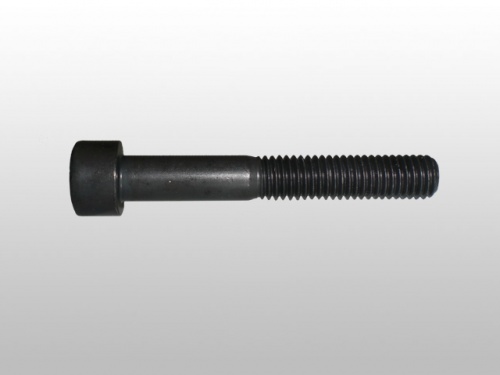 Болт VAG OE (M8x55)