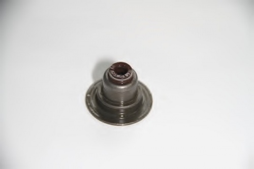 Колпачки м/с FORD 1.6 03- REINZ 026.640