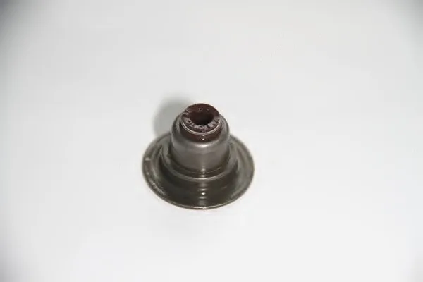 Колпачки м/с FORD 1.6 03- REINZ 026.640