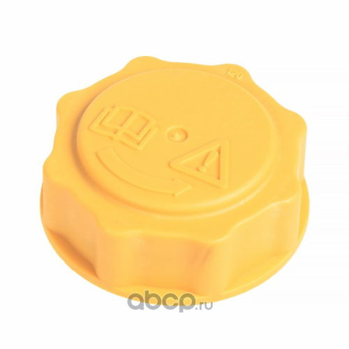 Крышка расш бачка FORD GANZ RC227