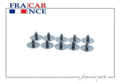 Пистон RENAULT FRANCECAR (шумки)