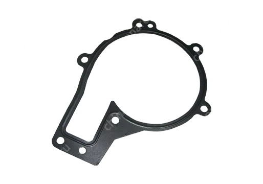 Прокладка насоса водяного CHERY OE