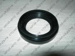Сальник КПП CHERY привода OE (41x61x9/13,5)