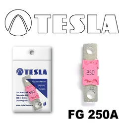 Предохранитель FG TESLA 250А