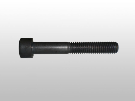 Болт VAG OE (M8x55)