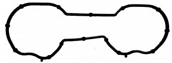 Прокладка коллектора FORD FOCUS 1.6 впуск REINZ 377.170