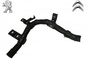 Патрубок ОЖ CITROEN/PEUGEOT OE