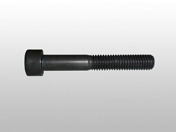 Болт VAG OE (M8x55)