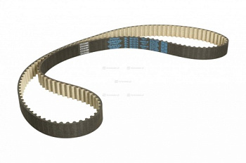 Ремень ГРМ VW T5 2.0 17- DAYCO (145z)