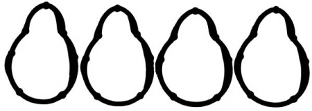 Прокладка коллектора RENAULT впуск REINZ (4шт)