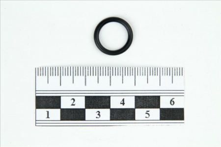 5650966.jpg