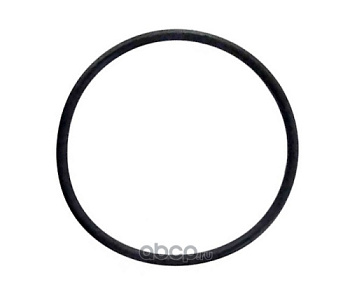 Кольцо уплотнит топливного насоса HYUNDAI/KIA OE